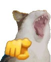 Rzhaka animated emote