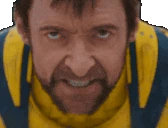 LETSFUCKINGGO emote