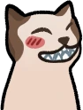 smiling_cat emote