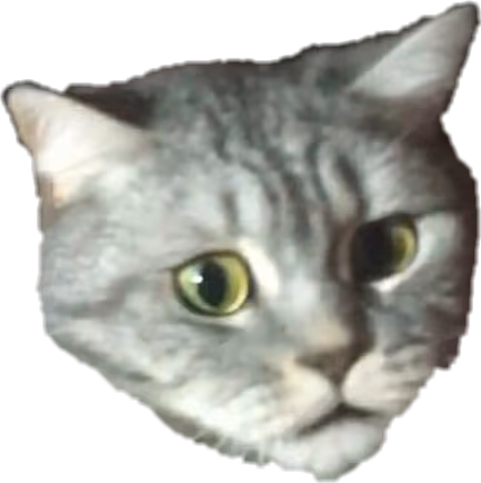CatBruh emote