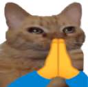 catPrayge emote