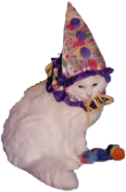 clown_cat emote