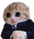 catBusiness emote