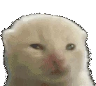 glorpify emoji