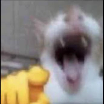 cat_laughing_at_you sticker