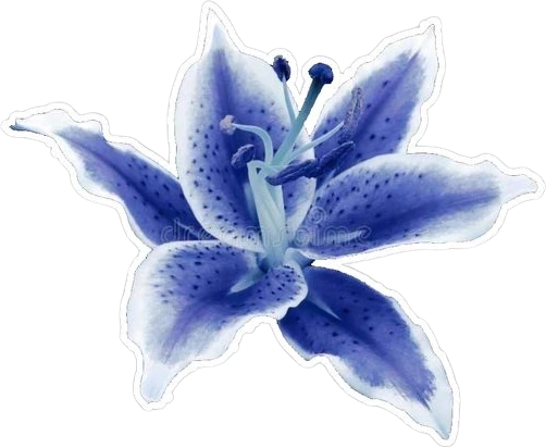 Blueflower emote