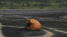 loaf emote