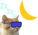 SleepCat emote