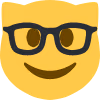 happy_glasses_kitty_cat emote