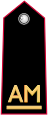 ccallievomaresciallo static emote