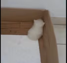 LeavMeAlone emote