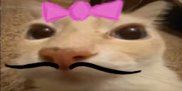 otagia emote