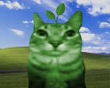 earth emote