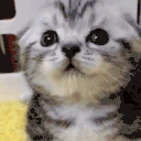 same emote