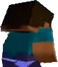 steve emote