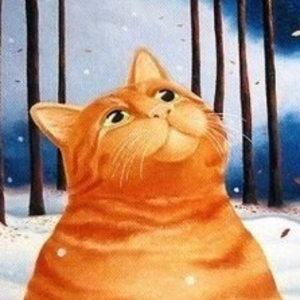 pooshka avatar