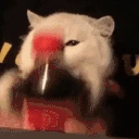 CokeShakey emoji