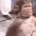 MonkeySalute emote