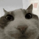 WiresHUH emote