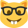 nerdyahhcat emote