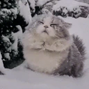 winter emoji