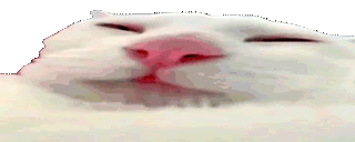 LICK emote