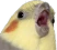 Shook_Birb emote