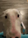 excited emote