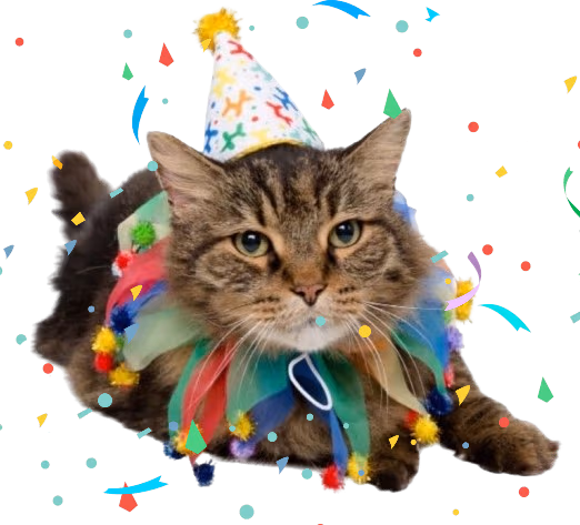 birthday_cat emote