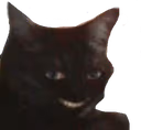 Cat_hehe emote