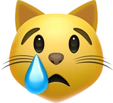 ios_cryingcat emote