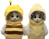 friends emote