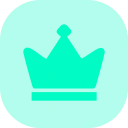turquoise_owner_badge emoji