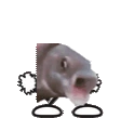 OOOOMEGADANCE emote