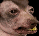Uruk_hai animated emote