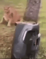 Floppa_attacc emoji