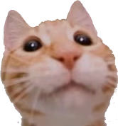 gabe emote