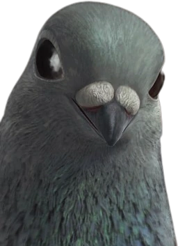 Pignon emote
