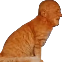 catFinger emote