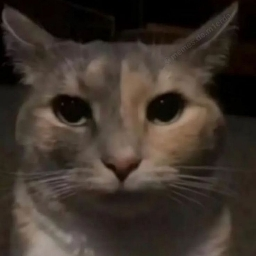 itareki avatar