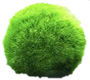 MossBall emote