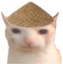 ChinaCat emote