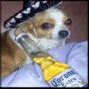 Hola emote