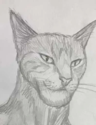 chad_cat emote