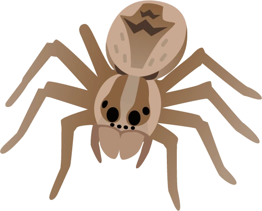 tarantula emote