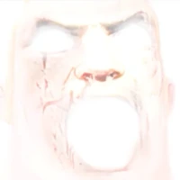 God_Mr_Incredible emote