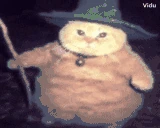 fatasswizardGAMBA emote