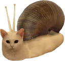 SnailCat emote