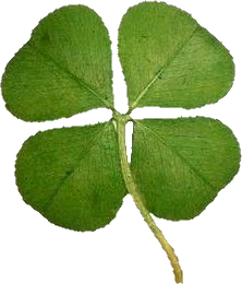 clover emote