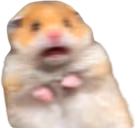 ohshit emote